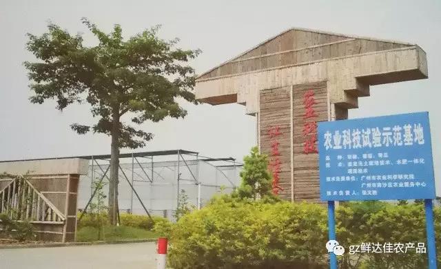 南沙農業生產午夜福利毛片